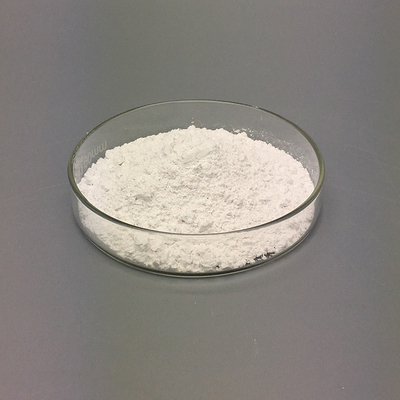 Lactobacillus plantarum